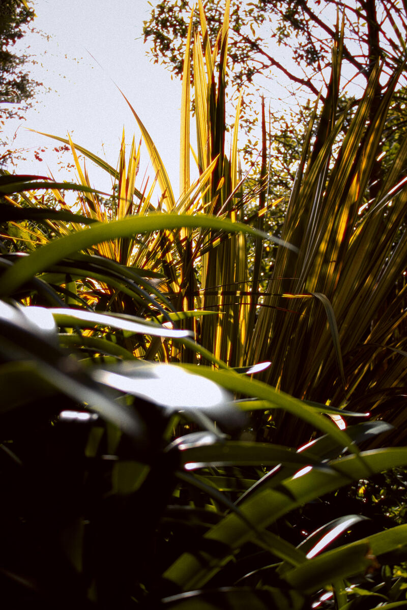 Untitled Untitled
