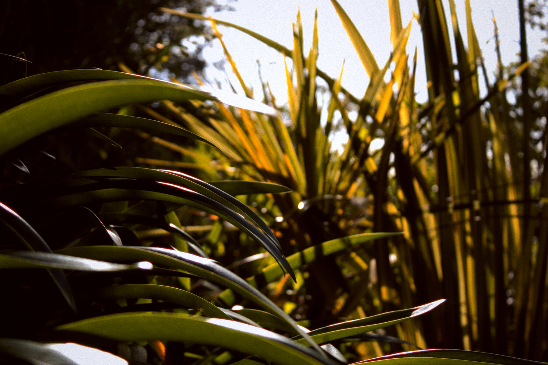 Untitled Untitled